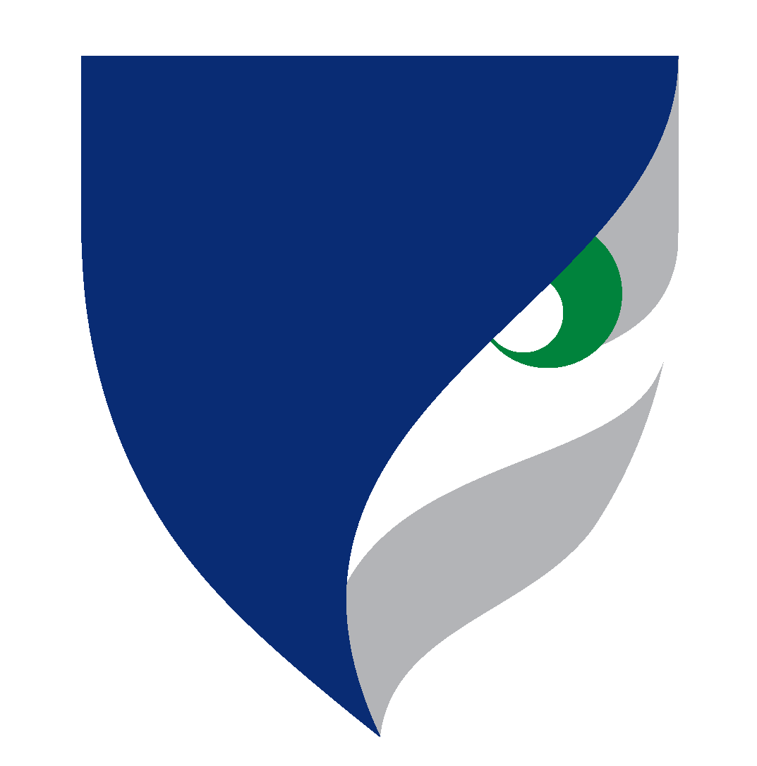 SEABURY_Seahawk%20logo%20only_4%20color_FINAL.png